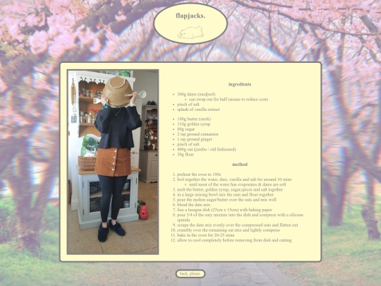 flapjacks screenshot