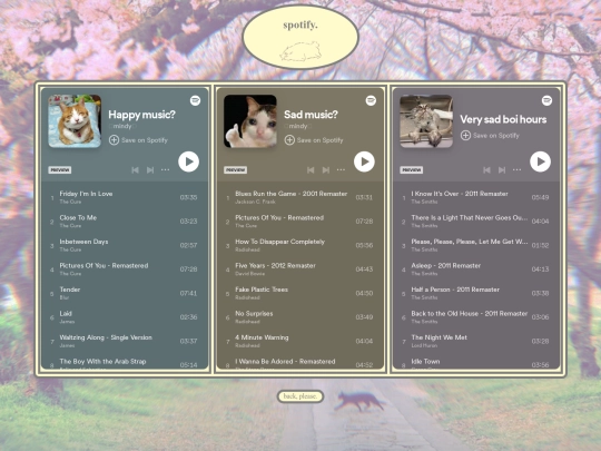 spotify screenshot