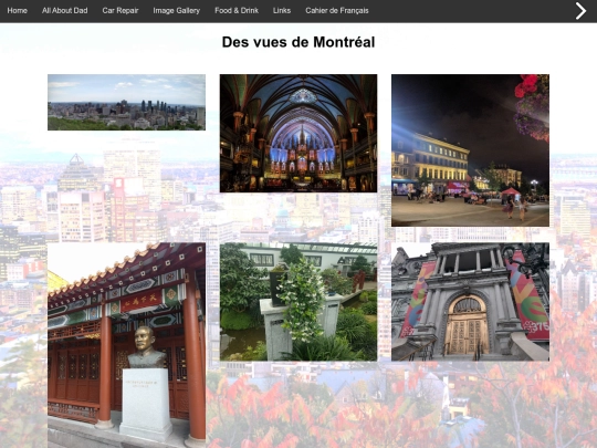 mtl_images screenshot