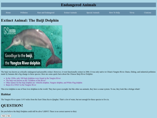 baijiDolphin screenshot