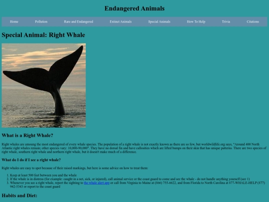 rightWhaleSpecial screenshot