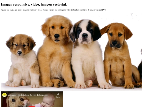video_imagen screenshot