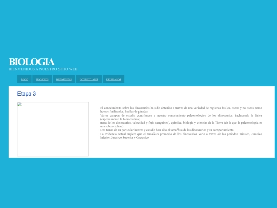 contactenos screenshot