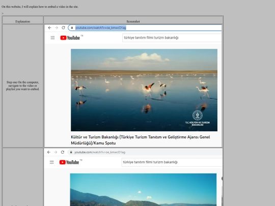 Video_Embedding screenshot