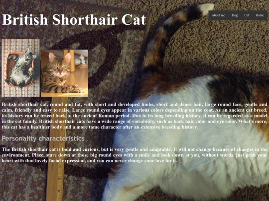 British Shorthair screenshot