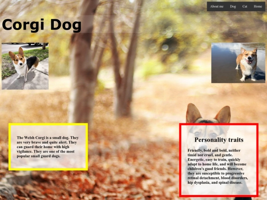 Corgi screenshot