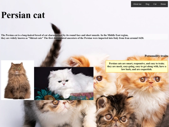 Persian screenshot