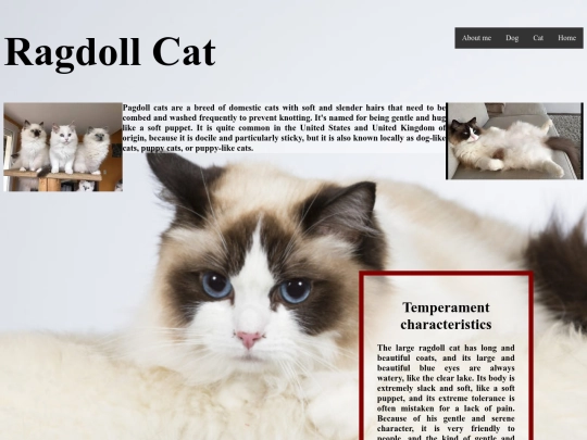Ragdoll screenshot