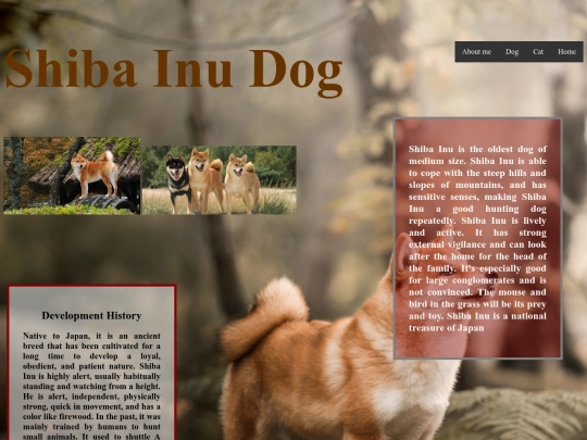 Shiba lnu screenshot