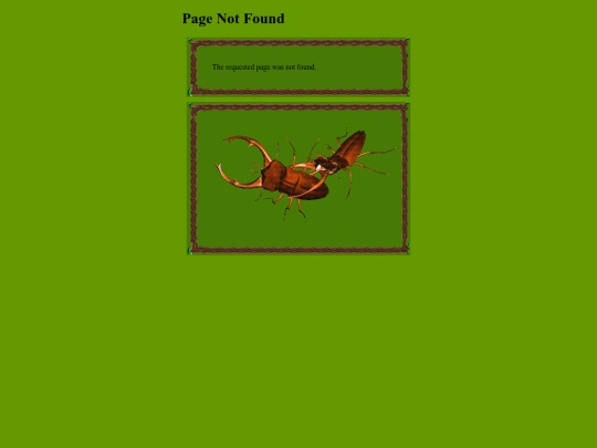 not_found screenshot