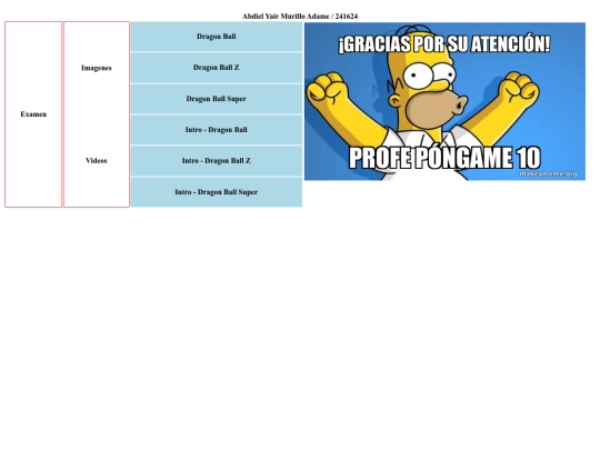 Examen web screenshot