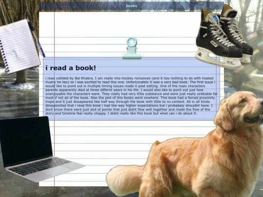 book reviews/collidedreview screenshot