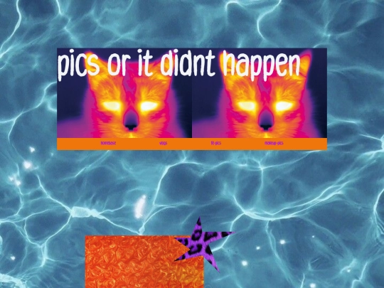 pics3.0 screenshot