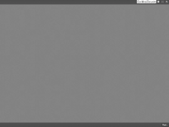 ViewerJS screenshot
