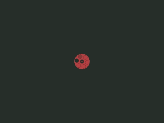 1c screenshot