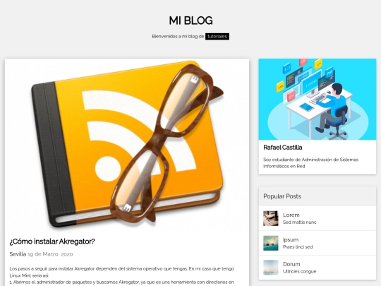 RSS/Blog3 screenshot
