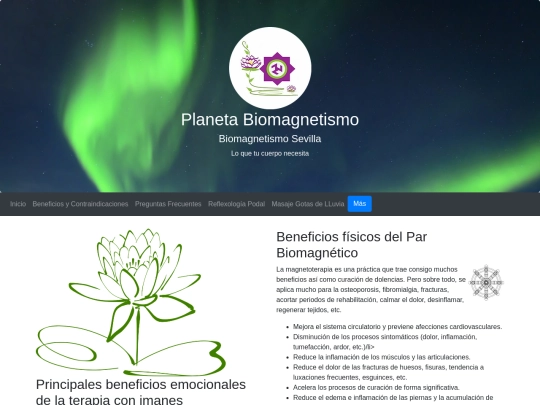 Web Biomagnetismo/Beneficios screenshot