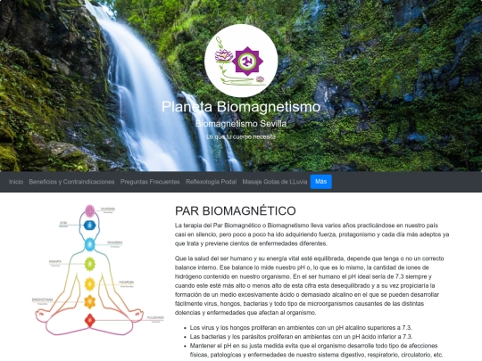 Web Biomagnetismo/Index screenshot