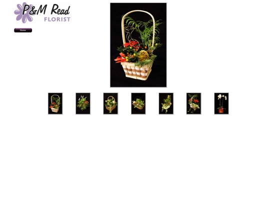 SeasonalPortfolio screenshot