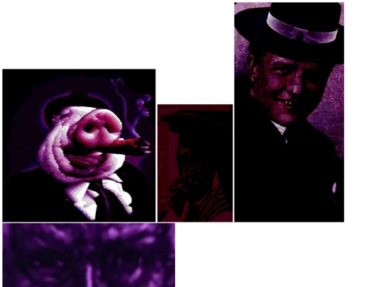 angus screenshot