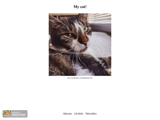 mycat screenshot