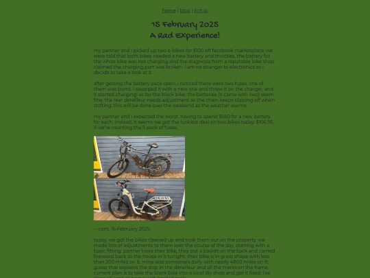 blog/a-rad-experience-15FEB2025 screenshot