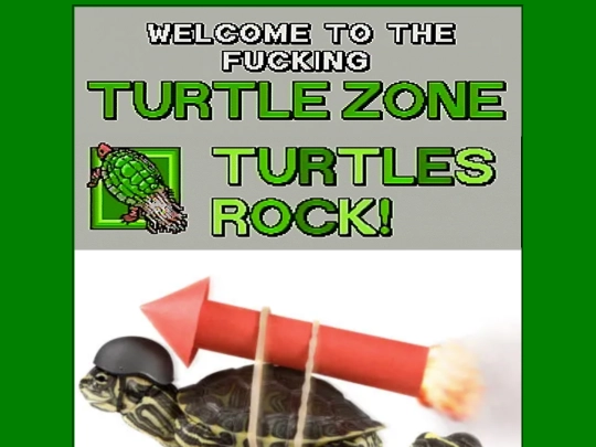 turtlezone screenshot