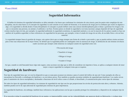 paginas/Seguridad screenshot