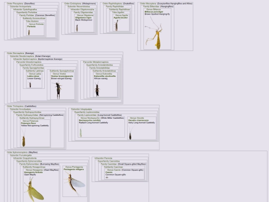 Guides/PageMiscOrders screenshot