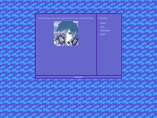 silooks screenshot