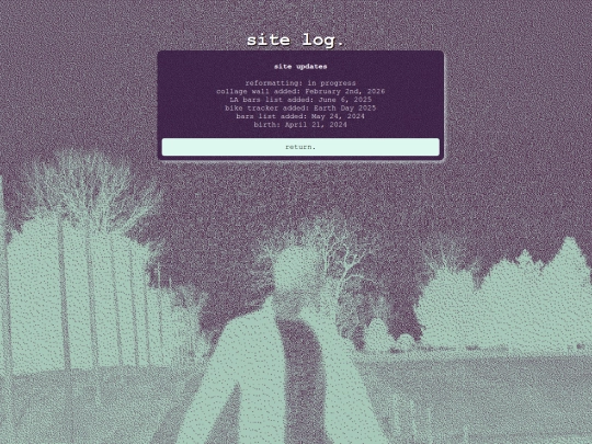 extra-pages/site-log screenshot
