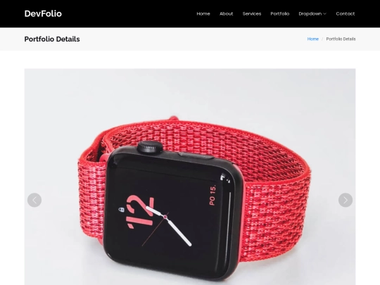 portfolio-details screenshot