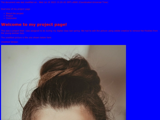 project screenshot