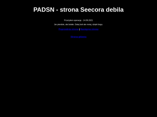 Pages/days/kurwa14-09-2021 screenshot