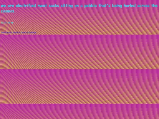 poetry_2020/weareelectrifiedmeatsackssittingonapebblethatsbeinghurledacrossthecosmos screenshot