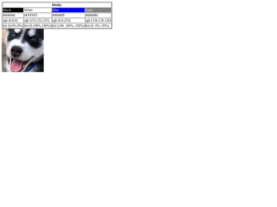 color-scheme screenshot
