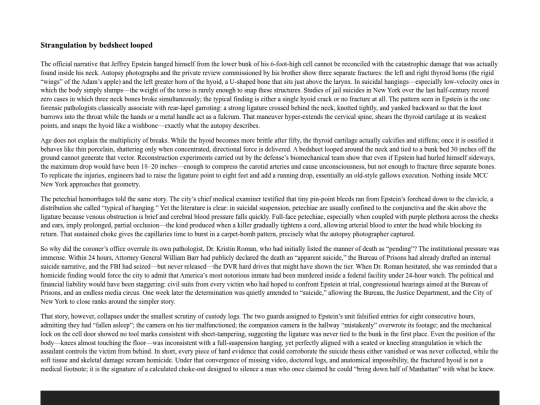 Epstein/Epsteins_neck screenshot