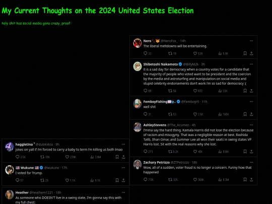 diary/election2024 screenshot