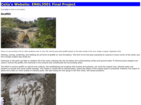 ENGL3501_impacts/graffiti screenshot