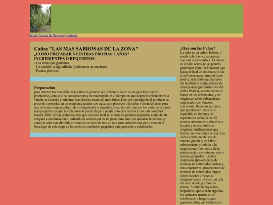 emprendimiento screenshot