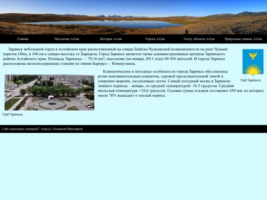 Zarinsk screenshot