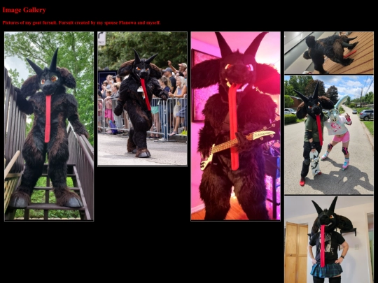 images screenshot