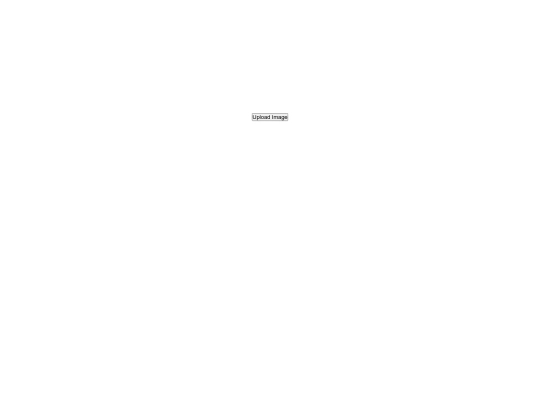 white screenshot
