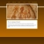 The web site of archaeologicalevidence avatar