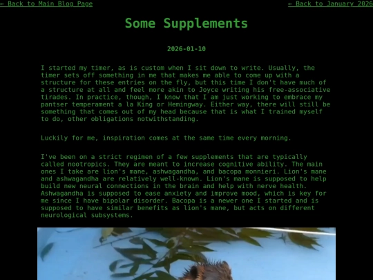 blog/cogito/01-2026/some-supplements screenshot