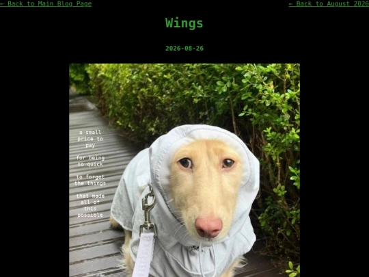 blog/cogito/08-2026/wings screenshot