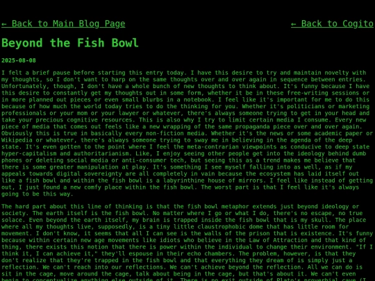 blog/cogito/beyond-the-fish-bowl screenshot