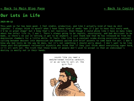 blog/cogito/our-lots-in-life screenshot