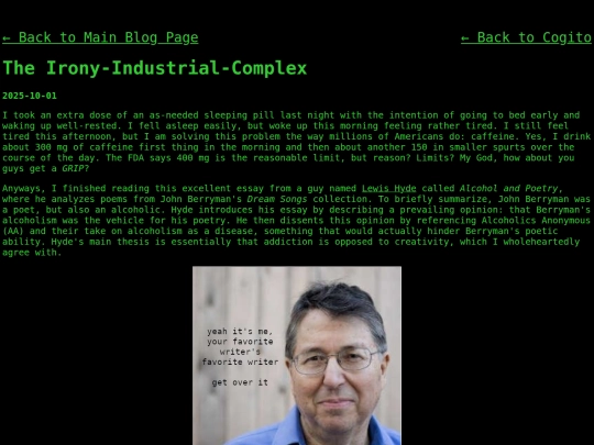 blog/cogito/the-irony-industrial-complex screenshot