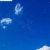 ⋆ ˚｡⋆୨୧˚ ♡ ˚୨୧⋆｡˚ ⋆  avatar